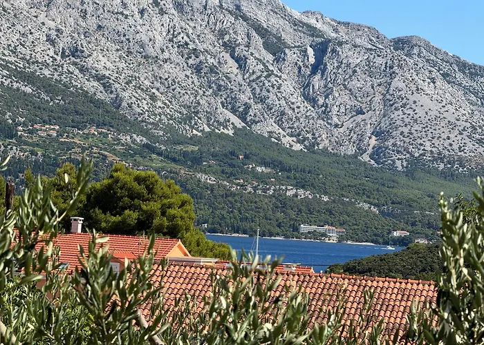 Oliva Daire