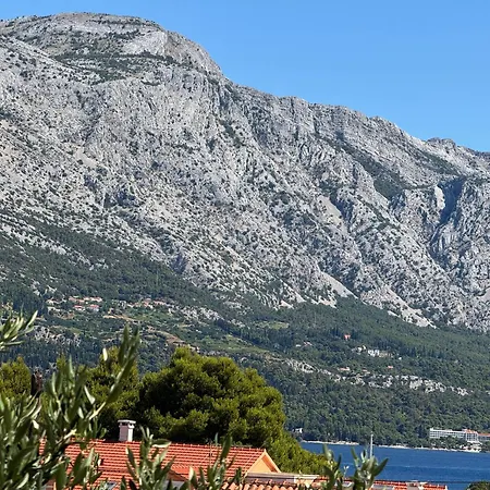 Oliva Korčula