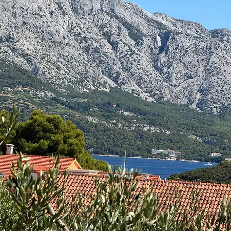 Oliva Apartamento