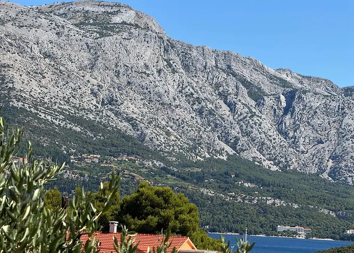 Oliva Korčula